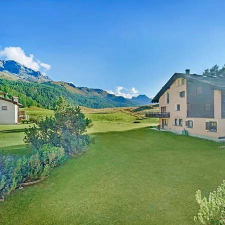 Crest Alta 23
